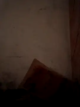 CoralN online show from April 1, 3:51 am