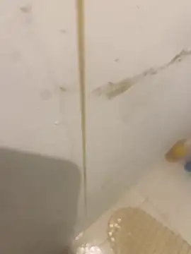 bichalouca online show from March 31, 9:15 pm