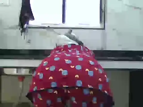 Miss Sanika online show from March 5, 10:00 am