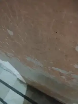 Tamillaxmi12 online show from April 14, 3:40 pm