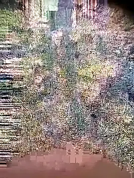 Ambala1 online show from April 21, 1:42 am