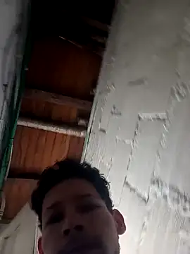 Goriluzdelam online show from April 4, 2:14 pm