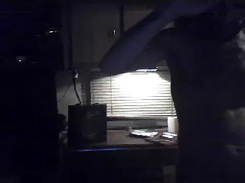 Snapshot of Alcoyanos chatting on June 13, 12:08 am Alcoyanos online show from June 13, 12:08 am