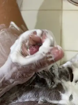 Chotiluli4 online show from April 12, 8:52 am