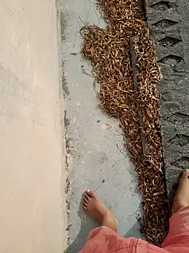 Desii rockstarr online show from March 14, 2:50 am