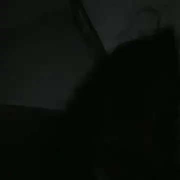 Neroarepo11 online show from May 27, 3:31 pm