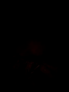 Snapshot of tina2005 chatting on March 31, 7:58 pm tina2005 online show from March 31, 7:58 pm