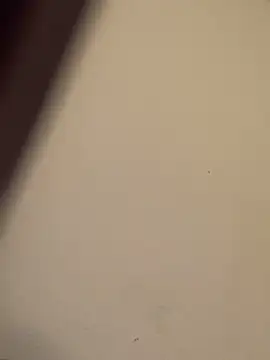 buivali00 online show from March 15, 11:38 am