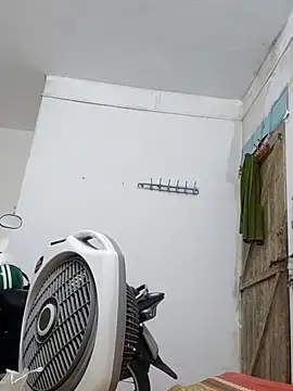 cactoto online show from May 4, 4:47 pm
