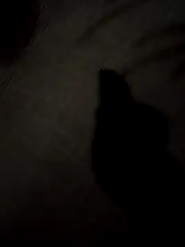 Snapshot of SEXY_COUPLE65 chatting on March 24, 9:03 am SEXY COUPLE65 online show from March 24, 9:03 am