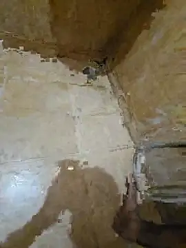 tamilpaiyan354 online show from April 25, 3:20 pm