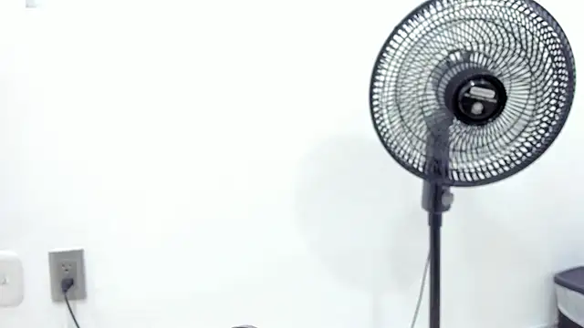 noah chips  online show from April 7, 5:30 am