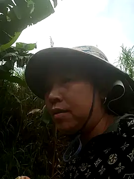 jikey-bibi online show from May 12, 7:16 am