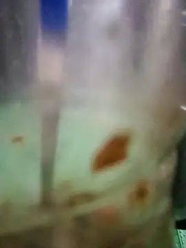 Snapshot of roc321 chatting on April 9, 11:37 am roc321 online show from April 9, 11:37 am