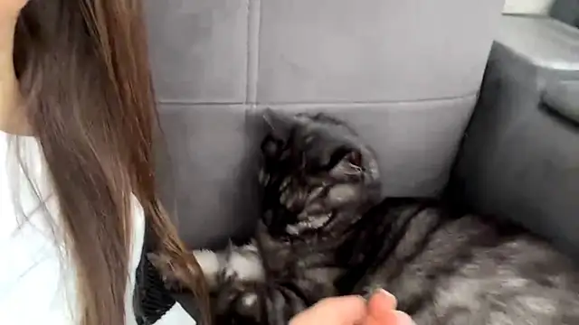 Snapshot of BrandyNorthcott chatting on April 27, 3:15 am BrandyNorthcott online show from April 27, 3:15 am