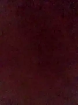 illdoitforetty online show from April 14, 11:22 pm