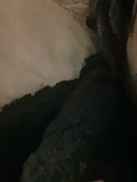 BBCboy365 online show from April 12, 10:48 pm