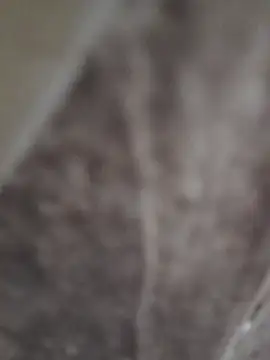 Snapshot of sk022 chatting on April 15, 6:26 pm sk022 online show from April 15, 6:26 pm