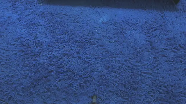 Snapshot of Mia-collins01 chatting on April 15, 12:34 pm Mia-collins01 online show from April 15, 12:34 pm