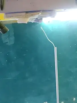 maicol6699 online show from April 15, 4:52 am