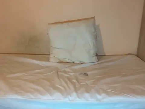 Snapshot of crazytranny chatting on January 18, 9:24 pm crazytranny online show from January 18, 9:24 pm