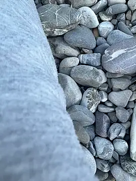 Wolf 18cm online show from April 29, 3:38 pm