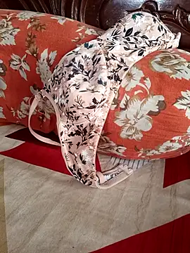 Snapshot of minadixit17 chatting on June 16, 2:36 am minadixit17 online show from June 16, 2:36 am