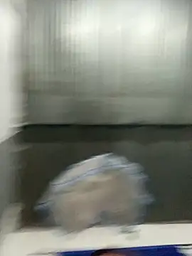 babyy pervert online show from May 31, 3:15 am