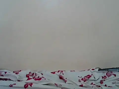 Snapshot of Hornysmoker20 chatting on July 7, 6:47 am Hornysmoker20 online show from July 7, 6:47 am