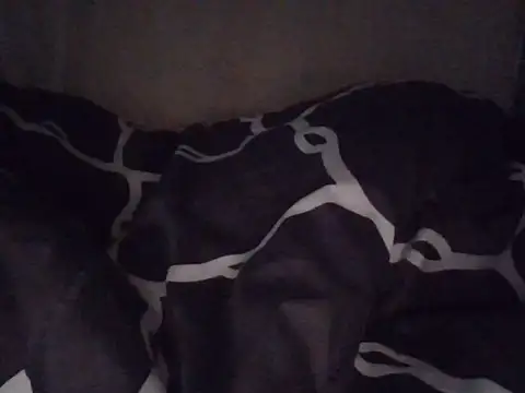 fatpusy002 online show from June 26, 3:44 am