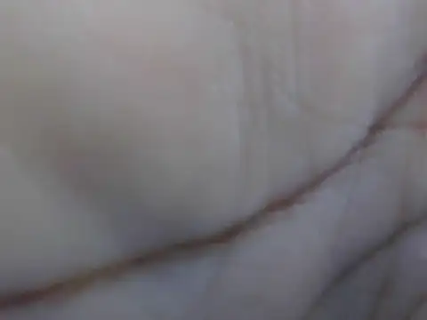 Mariana 150 online show from July 7, 6:27 am