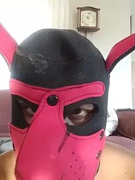 Snapshot of sillybonker chatting on May 25, 9:04 am sillybonker online show from May 25, 9:04 am