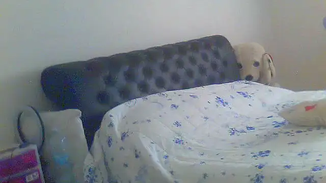 Snapshot of Alaska-perla chatting on June 26, 9:14 am Alaska-perla online show from June 26, 9:14 am