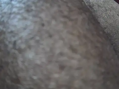 indiboy009 online show from March 14, 10:49 pm