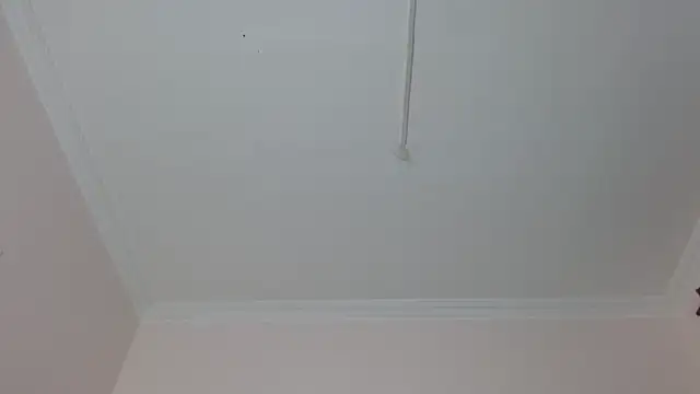 amara sanchez online show from July 8, 1:04 pm