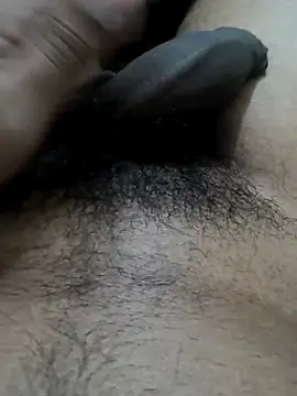 doggyvy online show from August 8, 7:43 am