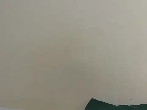 Snapshot of Arriana_ chatting on July 28, 11:17 am Arriana online show from July 28, 11:17 am