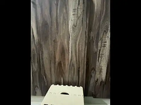 SatBull007 online show from November 23, 7:52 am