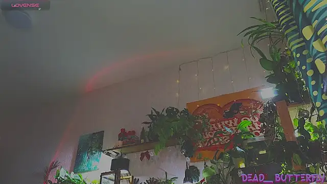 Dead Butterfly online show from December 18, 11:02 am