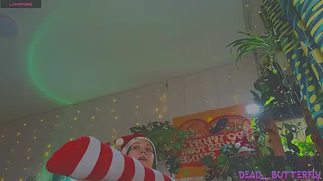 Dead Butterfly online show from December 27, 4:15 am