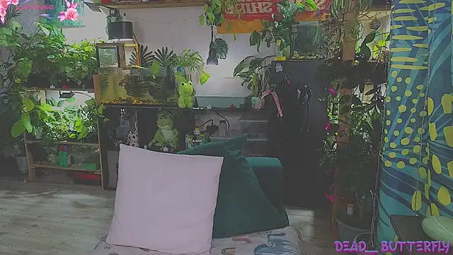 Dead Butterfly online show from February 16, 4:20 am