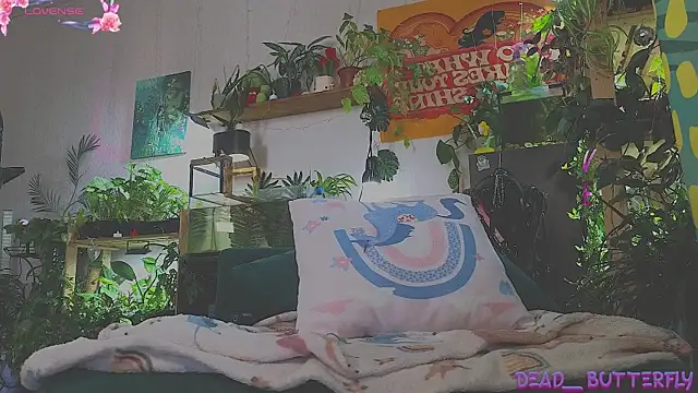 Dead Butterfly online show from March 5, 4:24 am