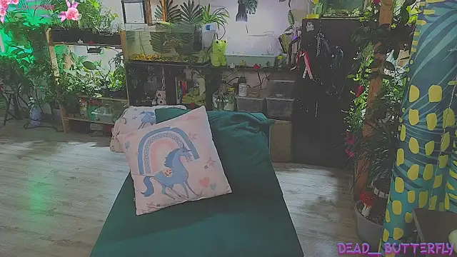 Dead Butterfly online show from March 13, 3:33 am