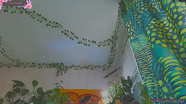 Dead Butterfly online show from September 16, 3:18 am