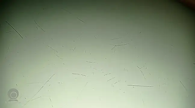 Snapshot of Just_for_trans chatting on February 21, 3:10 pm Just for trans online show from February 21, 3:10 pm