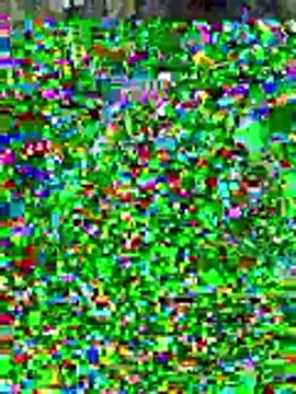 sissyvee online show from January 15, 5:01 am