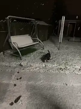 DannaaMeliza online show from January 9, 10:20 am