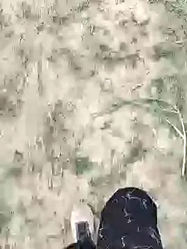 ThethunderPo online show from January 18, 2:25 am