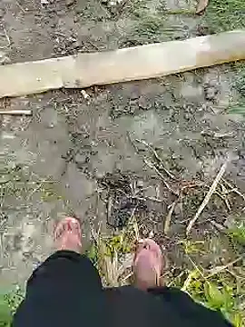 bigh96dik online show from January 14, 8:41 am