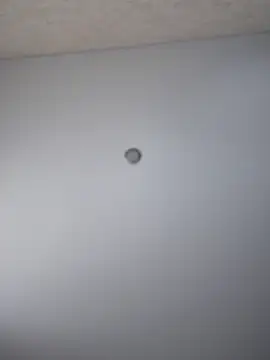 so cutes online show from March 17, 12:14 pm